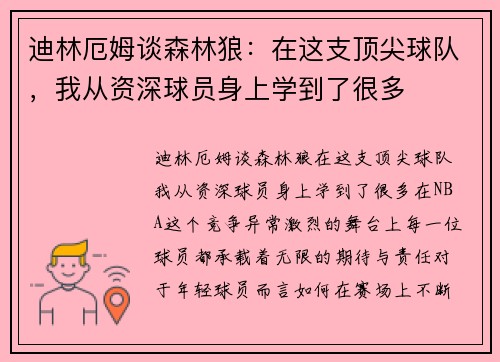 迪林厄姆谈森林狼：在这支顶尖球队，我从资深球员身上学到了很多