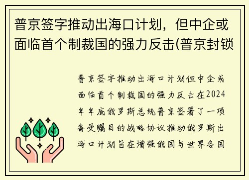 普京签字推动出海口计划，但中企或面临首个制裁国的强力反击(普京封锁海峡)
