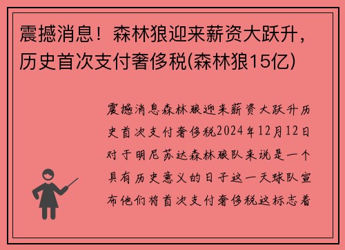 震撼消息！森林狼迎来薪资大跃升，历史首次支付奢侈税(森林狼15亿)