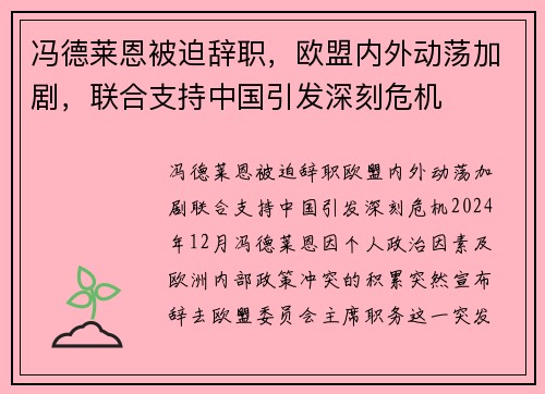 冯德莱恩被迫辞职，欧盟内外动荡加剧，联合支持中国引发深刻危机