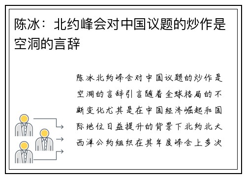 陈冰：北约峰会对中国议题的炒作是空洞的言辞